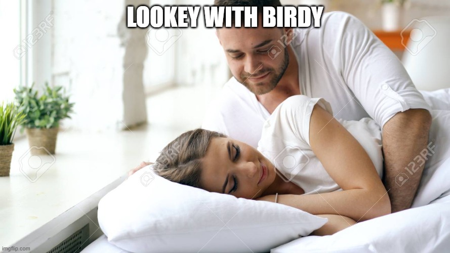 Lookey | Lookey with Birdy | image tagged in wake up babe | made w/ Imgflip meme maker