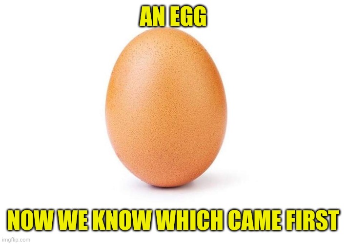 Eggbert | An egg Now we know which came first | image tagged in eggbert | made w/ Imgflip meme maker