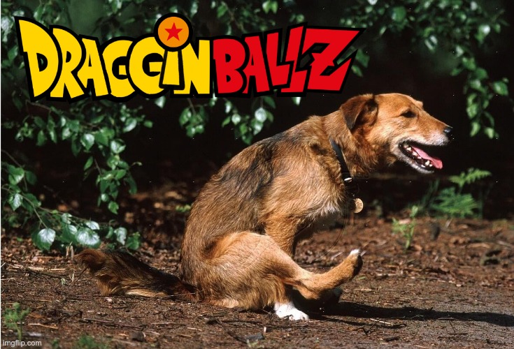 Draggin Ballz | image tagged in dragon ball z | made w/ Imgflip meme maker