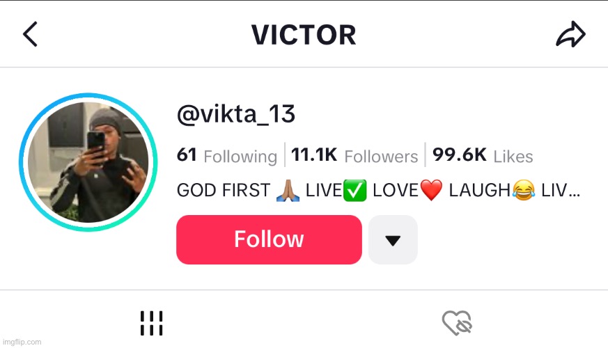 Would you follow him on TikTok for $100 | made w/ Imgflip meme maker