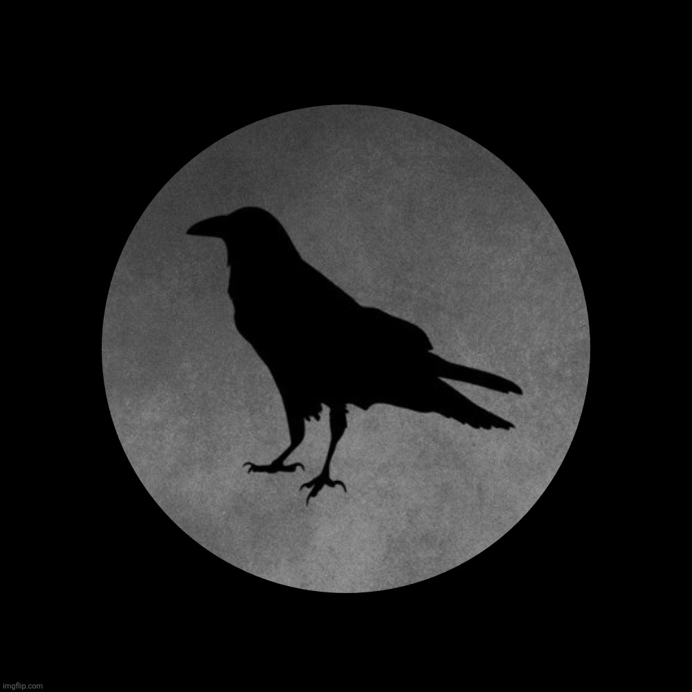 I'm Just a Poe Boy | image tagged in memes,blank transparent square | made w/ Imgflip meme maker