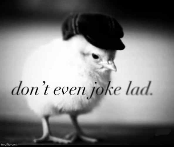 Don't Even Joke Lad | image tagged in don't even joke lad | made w/ Imgflip meme maker