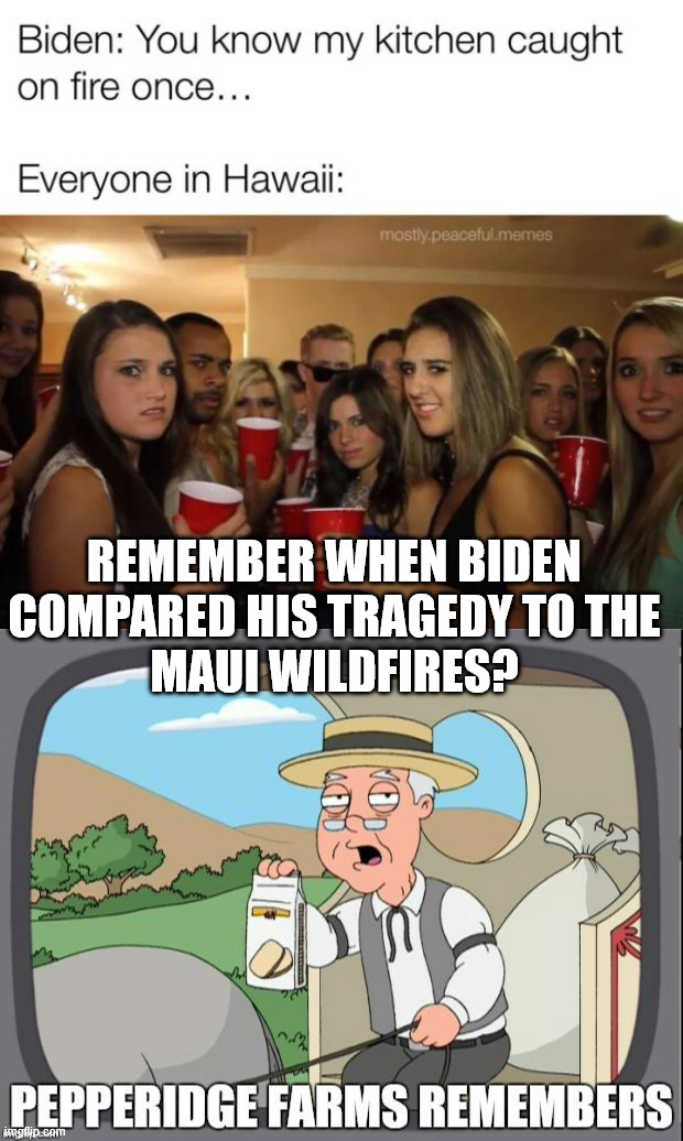 Remember when Biden compared his tragedy to the
Maui wildfires? | image tagged in pepperidge farms remembers | made w/ Imgflip meme maker