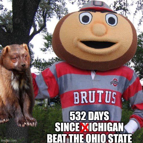 Ohio State Michigan meme | 532 days since michigan beat the Ohio state | image tagged in brutus,ohio state,michigan,michigan sucks,michigan football,college football | made w/ Imgflip meme maker