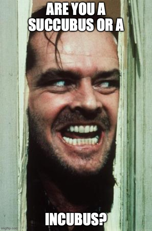 Here's Johnny Meme | are you a succubus or a; incubus? | image tagged in memes,here's johnny | made w/ Imgflip meme maker