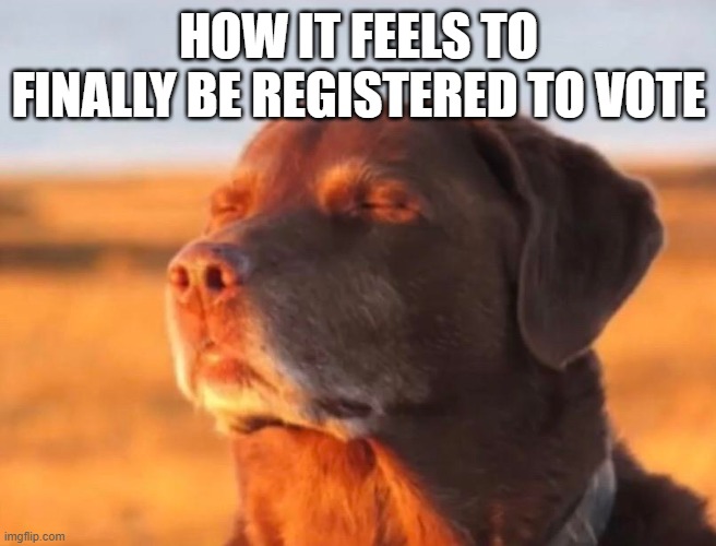 I can't believe it... I'm OFFICALLY A REGISTERED VOTER! | How it feels to finally be registered to vote | image tagged in dog accepting fate,vote | made w/ Imgflip meme maker