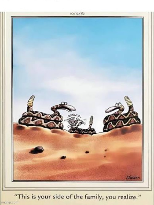 That boy ain’t right… | image tagged in the far side,comics,rattlesnakes,family,your side of the family,mixed up | made w/ Imgflip meme maker