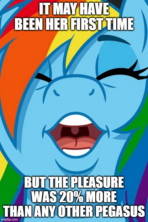 It may have been her first time | It may have been Her First Time; But the pleasure was 20% more than any other pegasus | image tagged in rainbow dash,my little pony,l money,funny,relatable,mlp fim | made w/ Imgflip meme maker