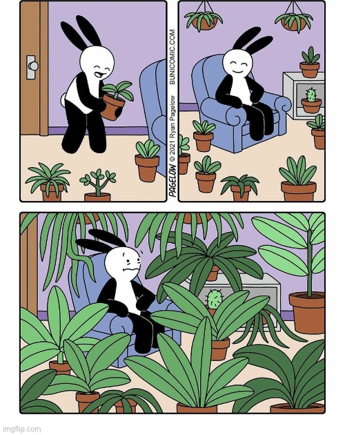 Buni Comics | image tagged in comics,buni comics,plants,overwhelmed,they grow up so fast,what next | made w/ Imgflip meme maker