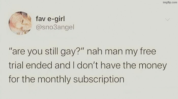 Are you still gay | image tagged in gay | made w/ Imgflip meme maker