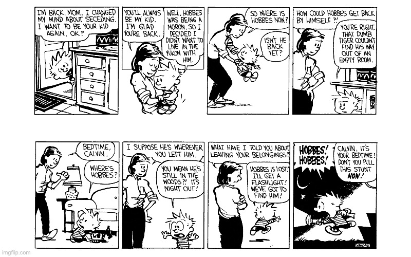 IMG_4239.jpeg | image tagged in calvin and hobbes,comics | made w/ Imgflip meme maker