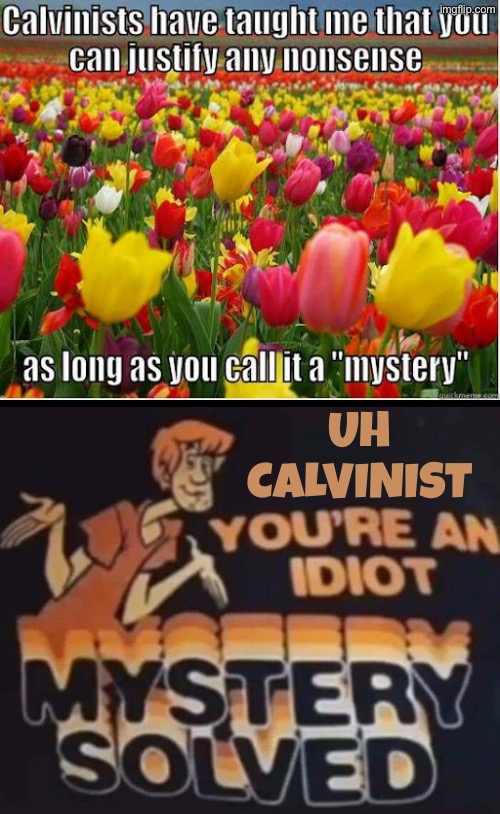 Mystery Solved | Uh Calvinist | image tagged in calvinism,calvinist memes,reformed theology,mystery,scooby doo shaggy,idiot | made w/ Imgflip meme maker