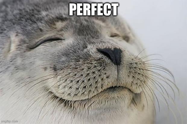 Satisfied Seal Meme | Perfect | image tagged in memes,satisfied seal | made w/ Imgflip meme maker