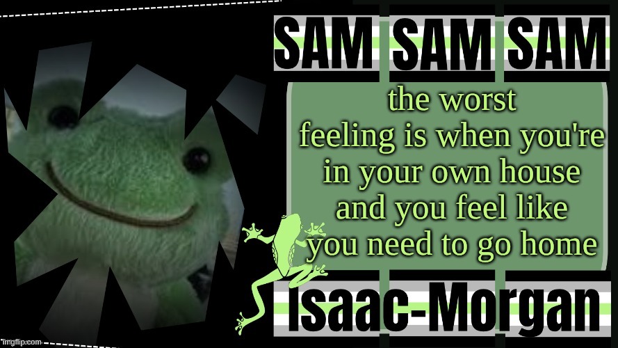 sam's fav frog temp | the worst feeling is when you're in your own house and you feel like you need to go home | image tagged in sam's fav frog temp | made w/ Imgflip meme maker