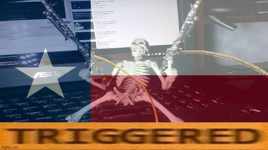 TEXAS RAAAAAAHHH | image tagged in texas raaaaaahhh | made w/ Imgflip meme maker