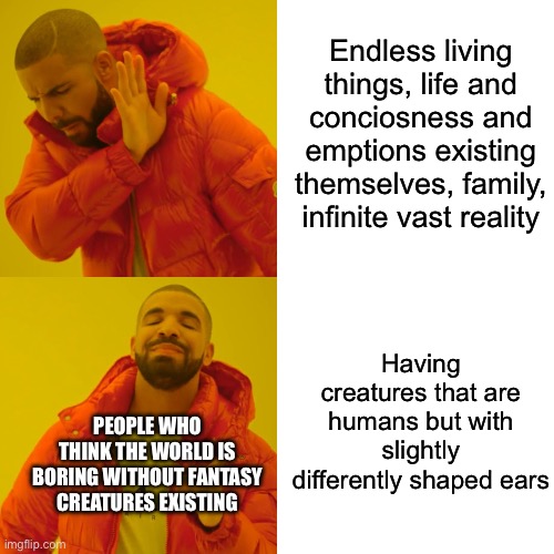 Drake Hotline Bling Meme | Endless living things, life and conciseness and emotions existing themselves, family, infinite vast reality; Having creatures that are humans but with slightly differently shaped ears; People who think the world is boring without fantasy creatures existing | image tagged in memes,drake hotline bling | made w/ Imgflip meme maker