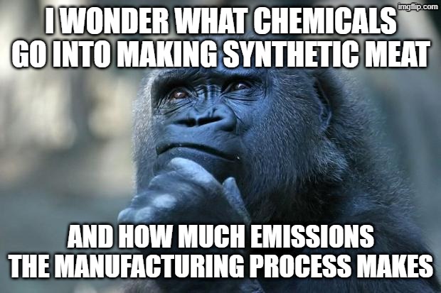 Deep Thoughts | I wonder what chemicals go into making synthetic meat and how much emissions the manufacturing process makes | image tagged in deep thoughts | made w/ Imgflip meme maker