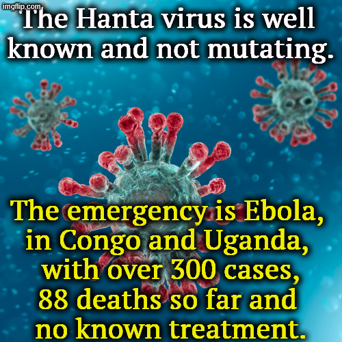 Anything so we don't have to talk about Trump for a change. | The Hanta virus is well 
known and not mutating. The emergency is Ebola, 
in Congo and Uganda, 
with over 300 cases,
88 deaths so far and 
no known treatment. | image tagged in covid-19 coronavirus,ebola,virus,pandemic,africa | made w/ Imgflip meme maker