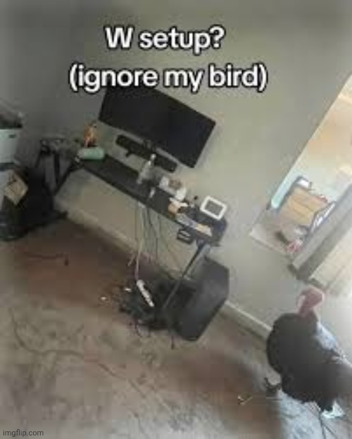 made w/ Imgflip meme maker