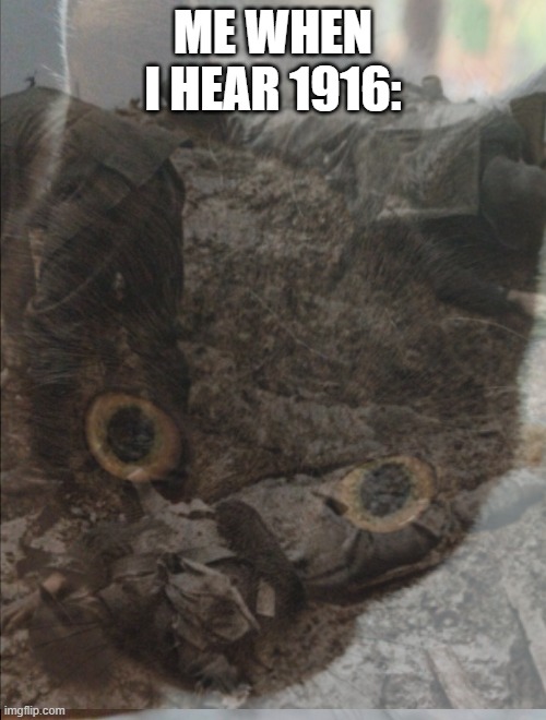 The cat who at 1916 of Trench | Me when I hear 1916: | made w/ Imgflip meme maker