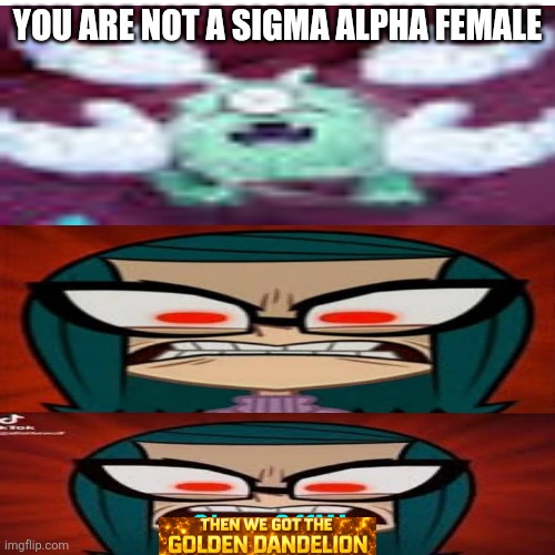 Ruin This Fill In Meme!!!!!!!!!!!!!!!!!!!!!!!!!!!!!!!!!!!!! #311 | You are not a sigma Alpha female | image tagged in ruin this fill in meme 311 | made w/ Imgflip meme maker