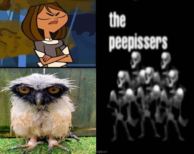 Ruin This Fill In Meme!!!!!!!!!!!!!!!!!!!!!!!!!!!!!!!!!!!!! #313 | image tagged in ruin this fill in meme 313 | made w/ Imgflip meme maker
