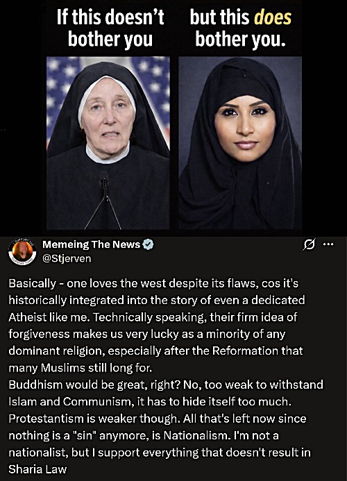 I grew up as a Protestant, but prob a bit more radical - not preaching through. Catholicism isn't huge in Denmark | image tagged in islam,catholicism,religion,atheism | made w/ Imgflip meme maker