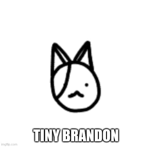tiny Brandon | made w/ Imgflip meme maker
