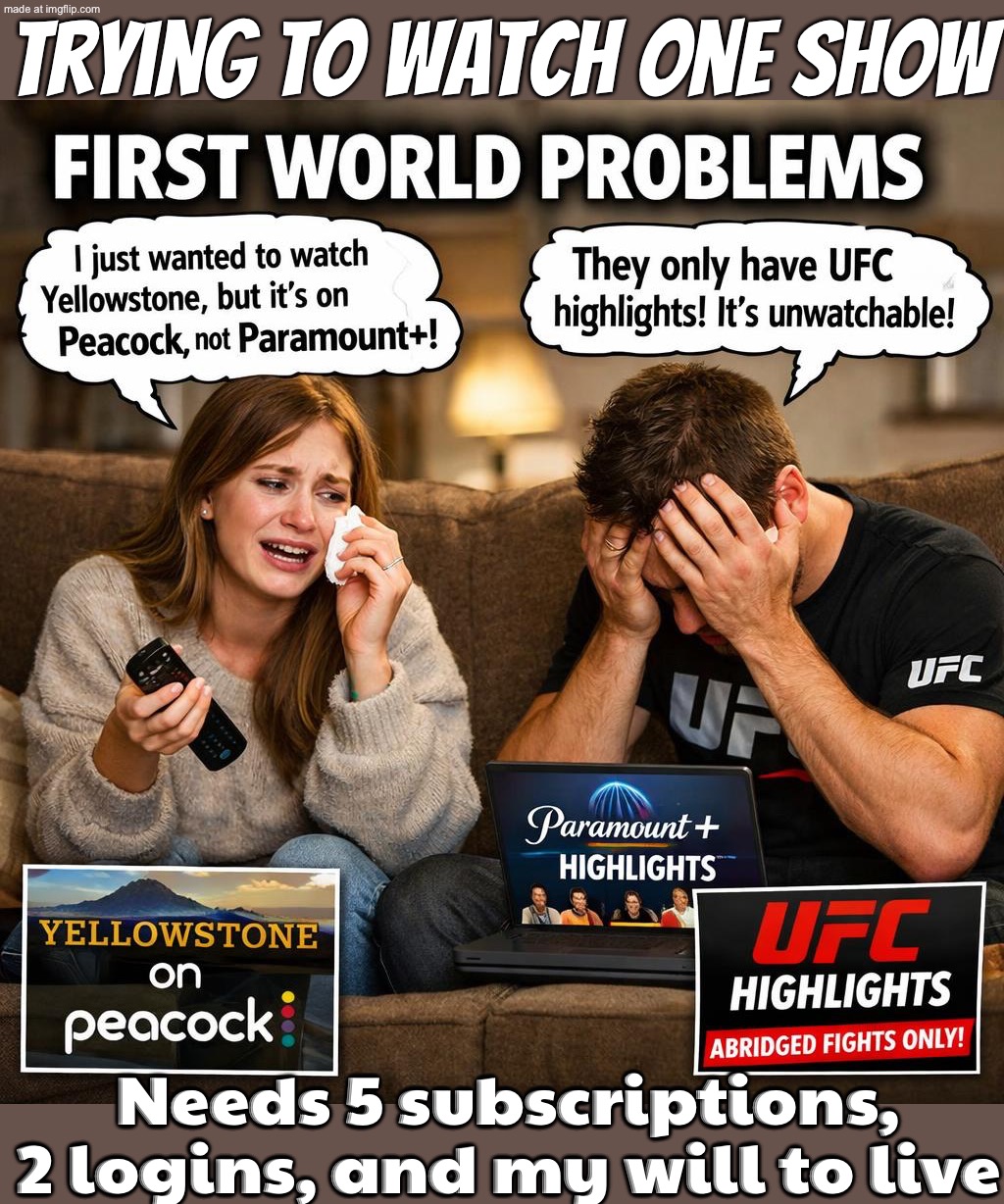 When you finally sit down to watch your favorite show…; …and it’s split across 6 subscriptions you don’t have. | Trying to watch one show; Needs 5 subscriptions, 2 logins, and my will to live | image tagged in first world problems,remix,subscribe,unsubscribe,television series,netflix | made w/ Imgflip meme maker