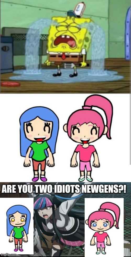STUPID IDIOTS | Are you two idiots newgens?! | image tagged in not spunchbob | made w/ Imgflip meme maker