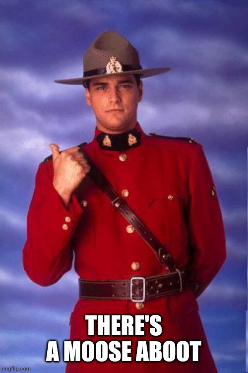 Canadian cops be like | There's a moose aboot | image tagged in canadian cops be like | made w/ Imgflip meme maker