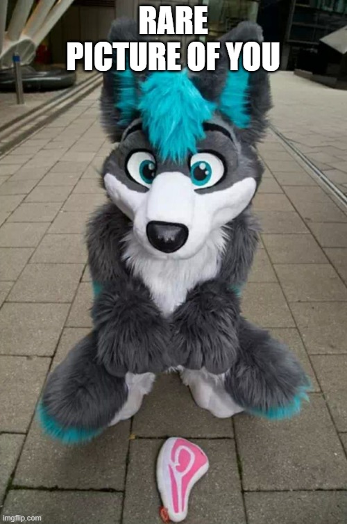 Furry | RARE PICTURE OF YOU | image tagged in furry | made w/ Imgflip meme maker