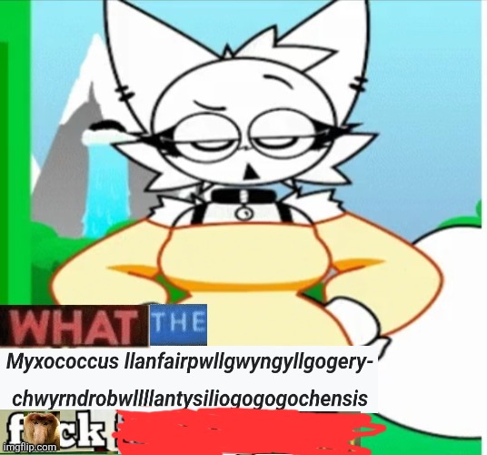 Wendah shitpost | image tagged in wendah shitpost | made w/ Imgflip meme maker