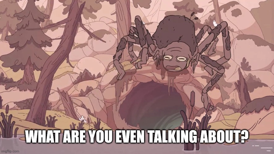 Confused/angry spider frog | What are you even talking about? | image tagged in confused/angry spider frog | made w/ Imgflip meme maker