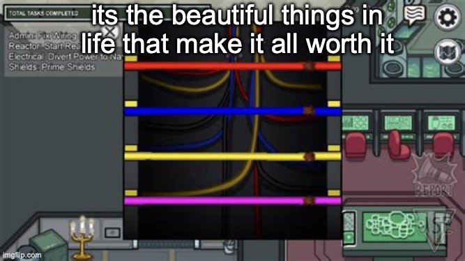 its the beautiful things in life that make it all worth it | image tagged in oh wow are you actually reading these tags | made w/ Imgflip meme maker