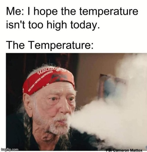 Looks like it's gonna be a smoking hot summer | image tagged in temperature,willie nelson,high,hot,summer | made w/ Imgflip meme maker