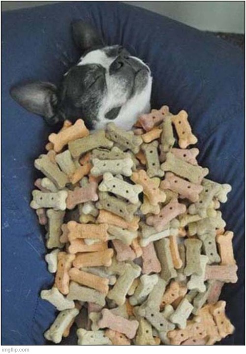 Dreaming Of Biscuits ! | image tagged in dogs,french bulldog,dream,biscuits | made w/ Imgflip meme maker