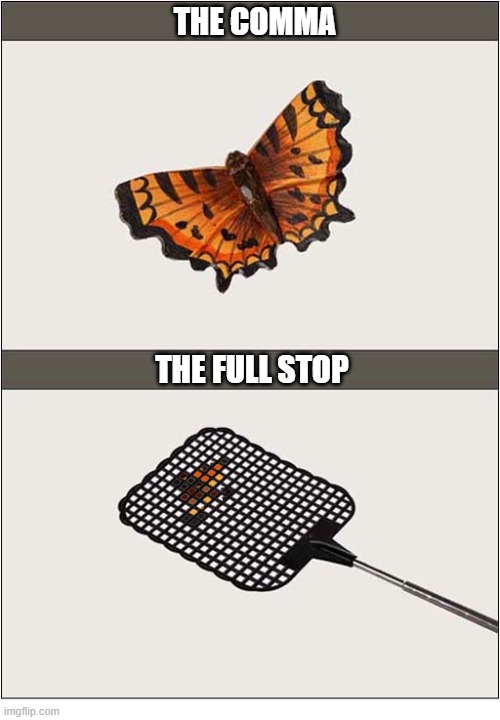 Natures Punctuation | The Comma; The Full Stop | image tagged in nature,punctuation,butterfly,fly swatter | made w/ Imgflip meme maker