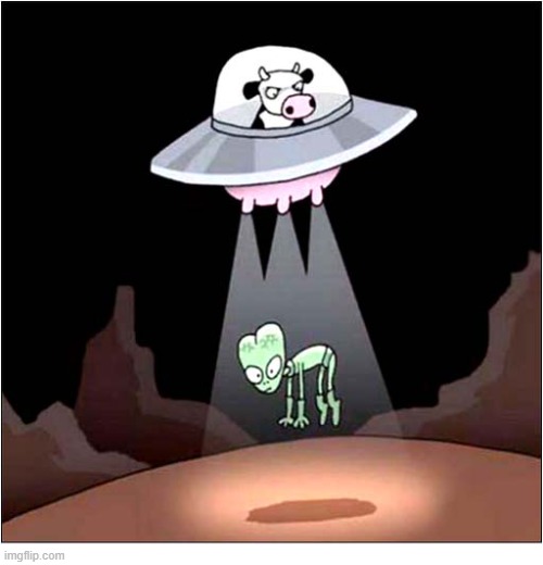Somewhere In A Parallel Universe ... | image tagged in parallel universe,cows,aliens,abduction | made w/ Imgflip meme maker
