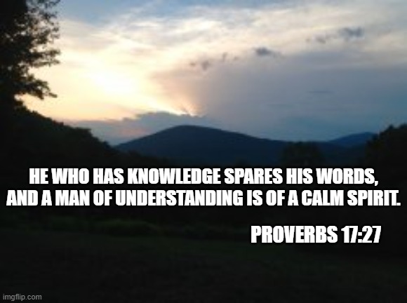 Wise | He who has knowledge spares his words,
And a man of understanding is of a calm spirit. Proverbs 17:27 | image tagged in wise,calm,listen | made w/ Imgflip meme maker