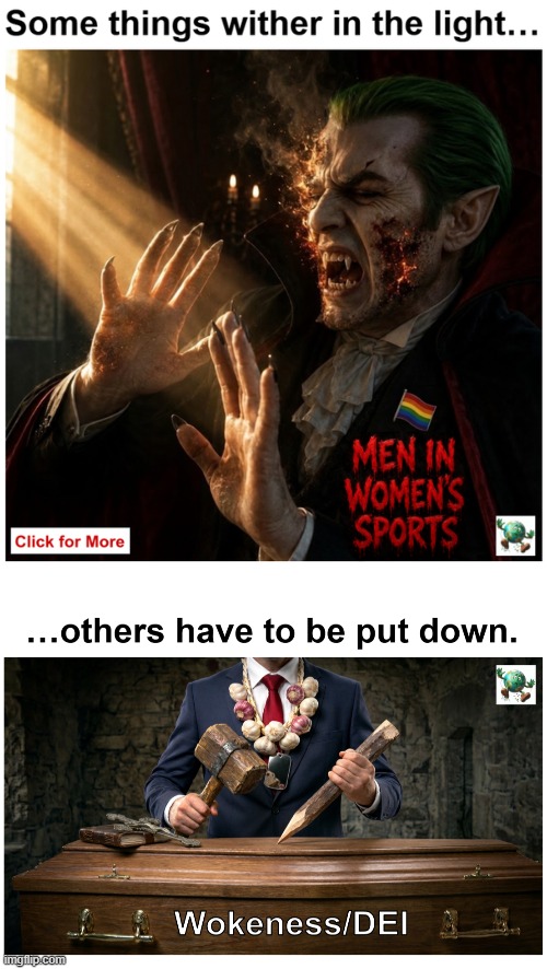 What steps can be taken to reduce or eliminate woke culture in America? | image tagged in maga,conservative,woke | made w/ Imgflip meme maker