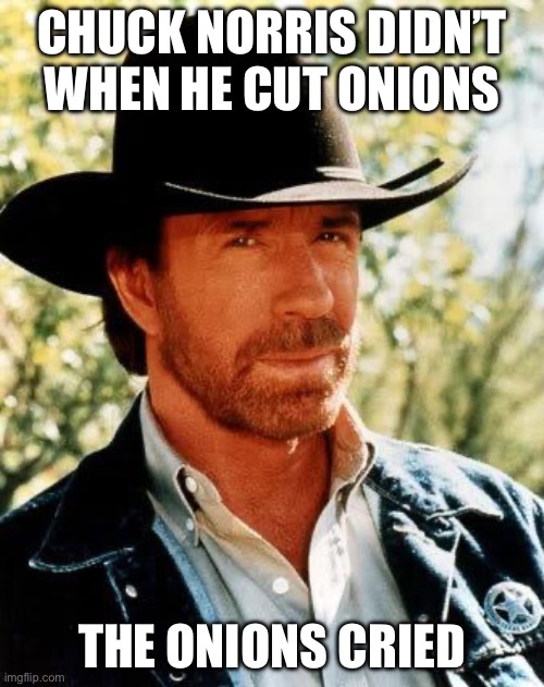 Chuck Norris Meme | Chuck Norris didn’t when he cut onions; The onions cried | image tagged in memes,chuck norris,onions,i diagnose you with gay | made w/ Imgflip meme maker