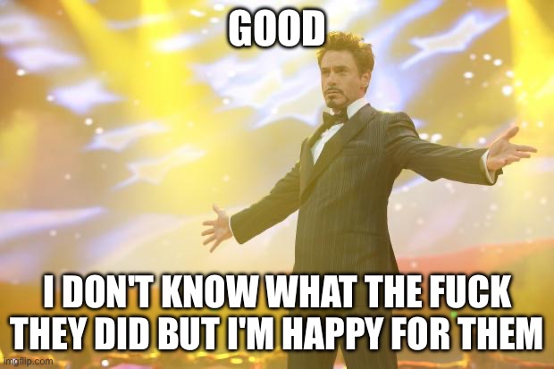 Tony Stark success | Good I don't know what the fuck they did but i'm happy for them | image tagged in tony stark success | made w/ Imgflip meme maker