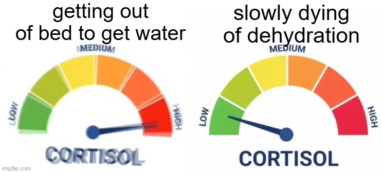 high vs low cortisol | getting out of bed to get water; slowly dying of dehydration | image tagged in high vs low cortisol | made w/ Imgflip meme maker