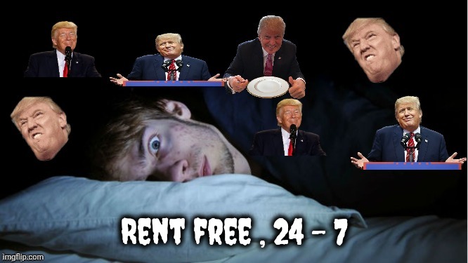 Rent free , 24 - 7 | image tagged in extreme tds | made w/ Imgflip meme maker