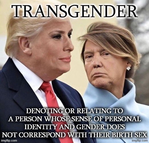 TRANSGENDER | image tagged in donald trump,melania trump,transgender,transphobic,lgbtq,gay pride | made w/ Imgflip meme maker