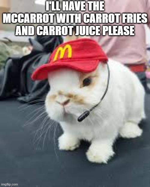 McBunnies | I'll have the mccarrot with carrot fries and carrot juice please | image tagged in images jpg | made w/ Imgflip meme maker