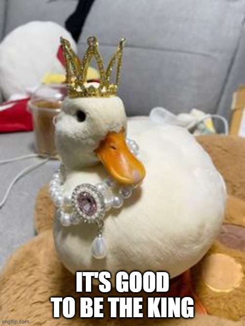 King Duck | it's good to be the king | image tagged in fa5a39f4d9c6990fc466a09749d1fd0e jpg | made w/ Imgflip meme maker