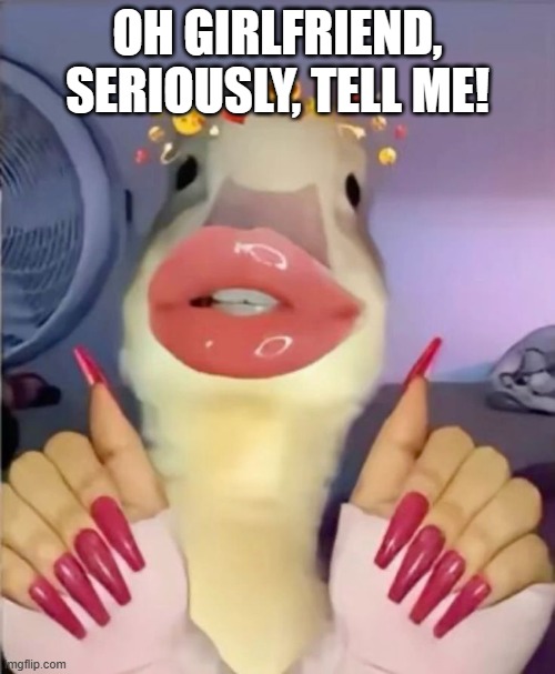girly Duck | oh girlfriend, seriously, tell me! | image tagged in 62accb21556929fa26ffb04d88349939 jpg | made w/ Imgflip meme maker