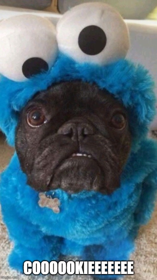 Cookie Monster | coooookieeeeeee | image tagged in 3892312e307bad3239d097c9991795a1 jpg | made w/ Imgflip meme maker